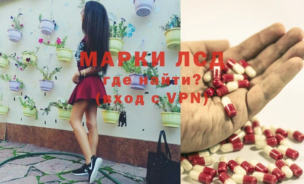 крисы Алексин