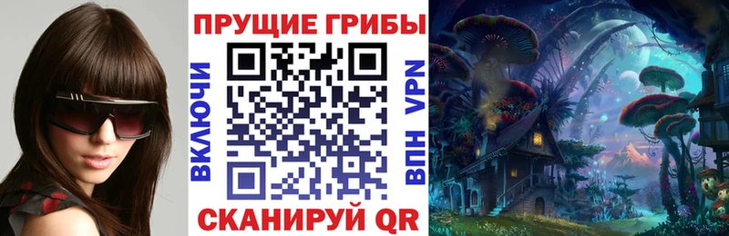 даркнет как зайти  Буй  Галлюциногенные грибы мицелий 